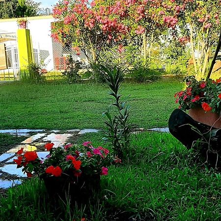 Kolonia E Artistave Διαμέρισμα Velipojë Εξωτερικό φωτογραφία