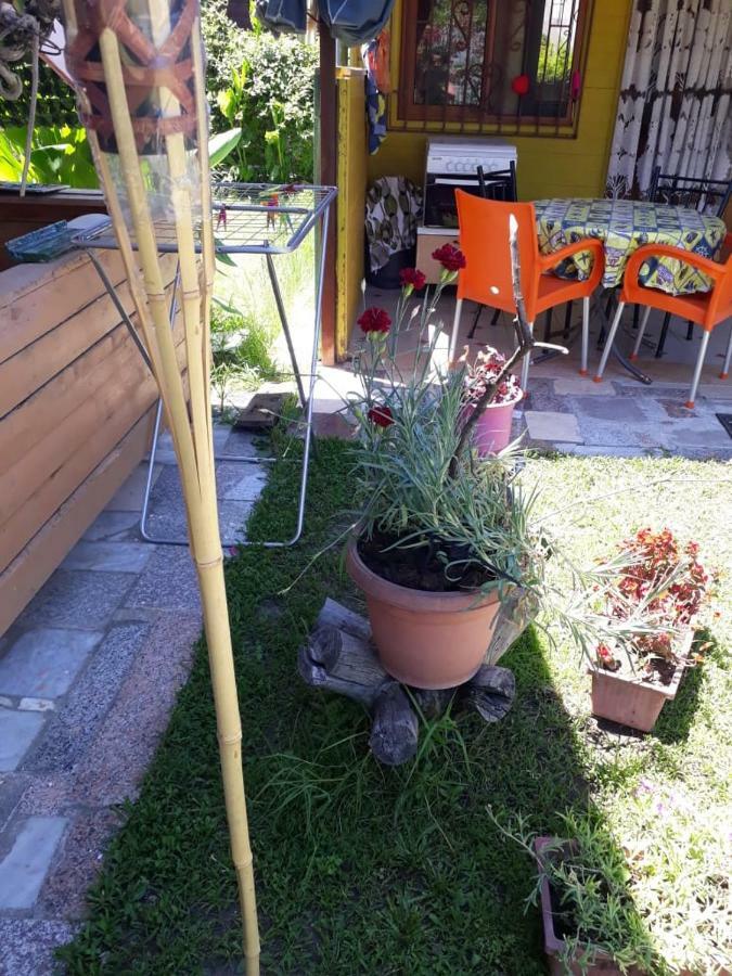 Kolonia E Artistave Διαμέρισμα Velipojë Εξωτερικό φωτογραφία